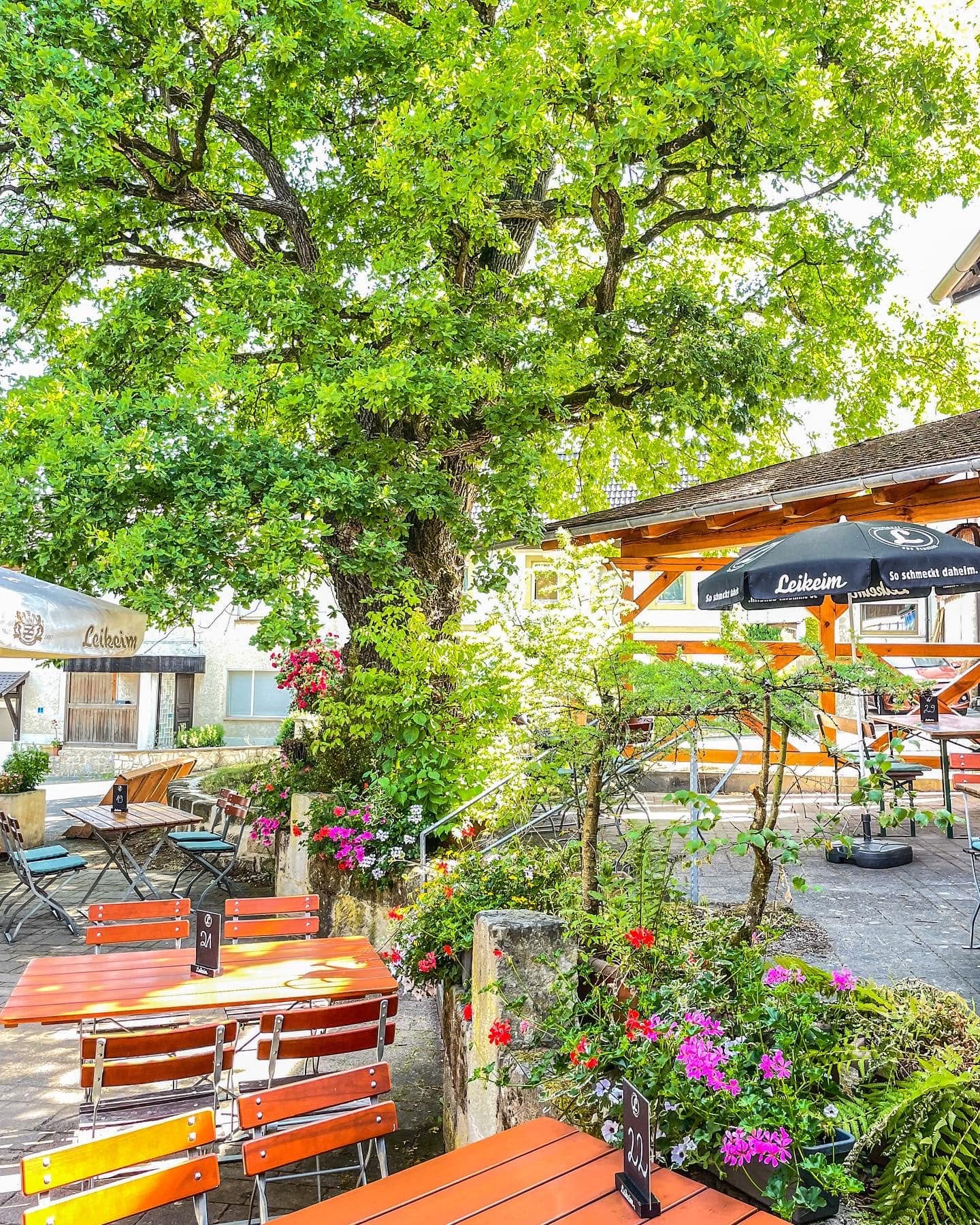 Der Biergarten unter der alten Eiche mit Biertischen und Blumenkästen