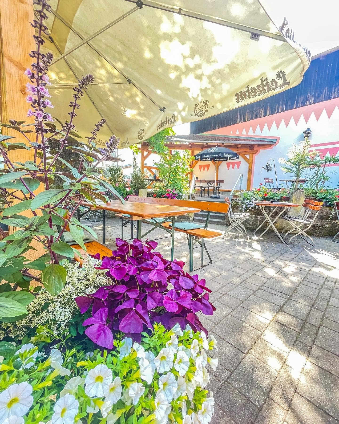 Biertische unter einem Sonnenschirm im Schatten der Eiche